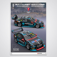 2021 Repco Bathurst 1000 Winner - Limited Edition Print